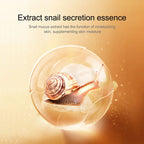 Snail Collagen Eye Cream – Anti-Aging, Dark Circle & Firming Care 20g